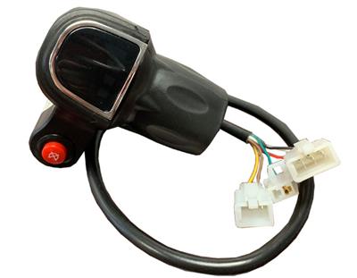 MotoTec Pro Dirt Bike 36v 1000w Twist Throttle