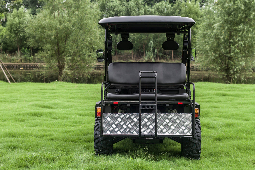 TrailMaster Taurus 450GX Gas Golf Cart, 26hp EFI Engine, 2x4/4x4 H/L Gear with Locking Differential