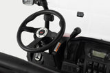 TrailMaster Taurus 450GX Gas Golf Cart, 26hp EFI Engine, 2x4/4x4 H/L Gear with Locking Differential