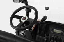 TrailMaster Taurus 450GX Gas Golf Cart, 26hp EFI Engine, 2x4/4x4 H/L Gear with Locking Differential