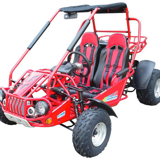 TrailMaster 300E XRS (EFI) Dune Buggy Go Kart, Liquid Cooled, Chain Drive