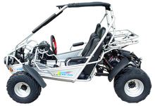 TrailMaster 300E XRS (EFI) Dune Buggy Go Kart, Liquid Cooled, Chain Drive