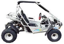 TrailMaster 300E XRS (EFI) Dune Buggy Go Kart, Liquid Cooled, Chain Drive