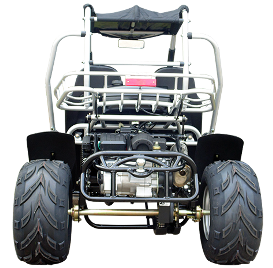 TrailMaster 300E XRS (EFI) Dune Buggy Go Kart, Liquid Cooled, Chain Drive