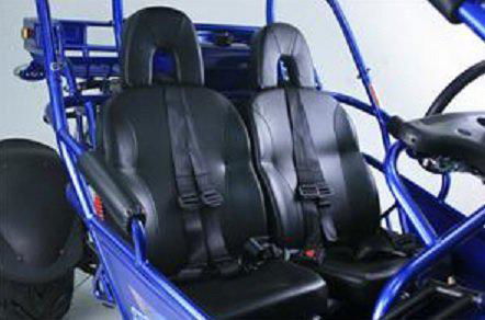 TrailMaster 300E XRS (EFI) Dune Buggy Go Kart, Liquid Cooled, Chain Drive