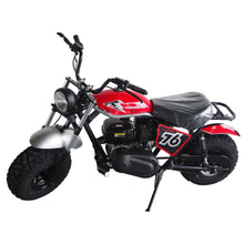 TrailMaster Hurricane 200X Mini Bike, 196cc 6.5hp with Torque Converter, Dual Disc Brake, Front & Rear Suspension