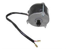 MotoTec Dirt Bike - 36 Volt Electric Motor (790w)