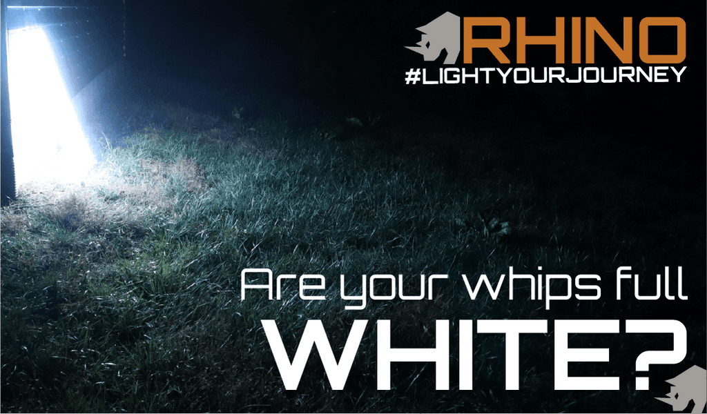 Rhino RGB Whips 2.0 - Lee Motorsports