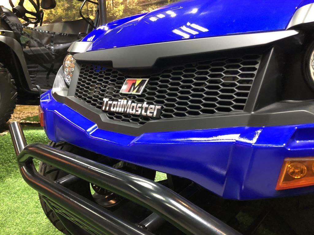 99% Assembled TrailMaster Taurus 200U UTV / Golf Cart / side-by-side Utility Hybrid with High/Low Gear