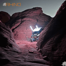 Load image into Gallery viewer, Rhino RGB Whips 2.0 - Lee Motorsports