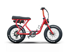 Load image into Gallery viewer, PopStar - Lee Motorsports