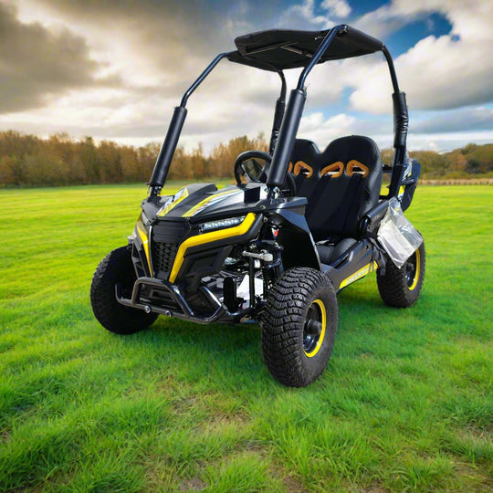 TrailMaster Cheetah i6 all electric, kids off road go kart. 3 speeds, with reverse, 48V 20Ah battery pack - Lee Motorsports