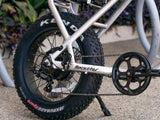 PopStar - Lee Motorsports