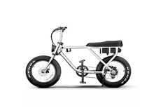 Rockstar 750W - Lee Motorsports