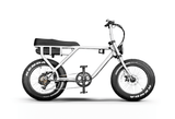 Rockstar 750W - Lee Motorsports