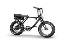 Load image into Gallery viewer, Rockstar 750W - Lee Motorsports