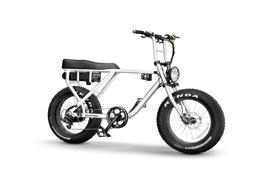 Rockstar 750W - Lee Motorsports