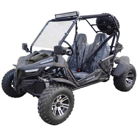 Trailmaster Cheetah 200EX Off Road UTV / Go Kart / side-by-side Wind Shield, Light bar, Spare Tire, Upgraded Center Pivot rear end, Fuel Injected - Lee Motorsports