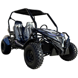 Trailmaster Cheetah 300E Off Road UTV/Go kart 18 HP Fuel Injected, Upgraded rear suspension - Lee Motorsports