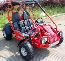 Trailmaster 300XRSE EFI Ultra Buggy Go Kart Largest Engine, Fuel Injected Motor, Over Sized disc brakes, Water Cooled - Lee Motorsports