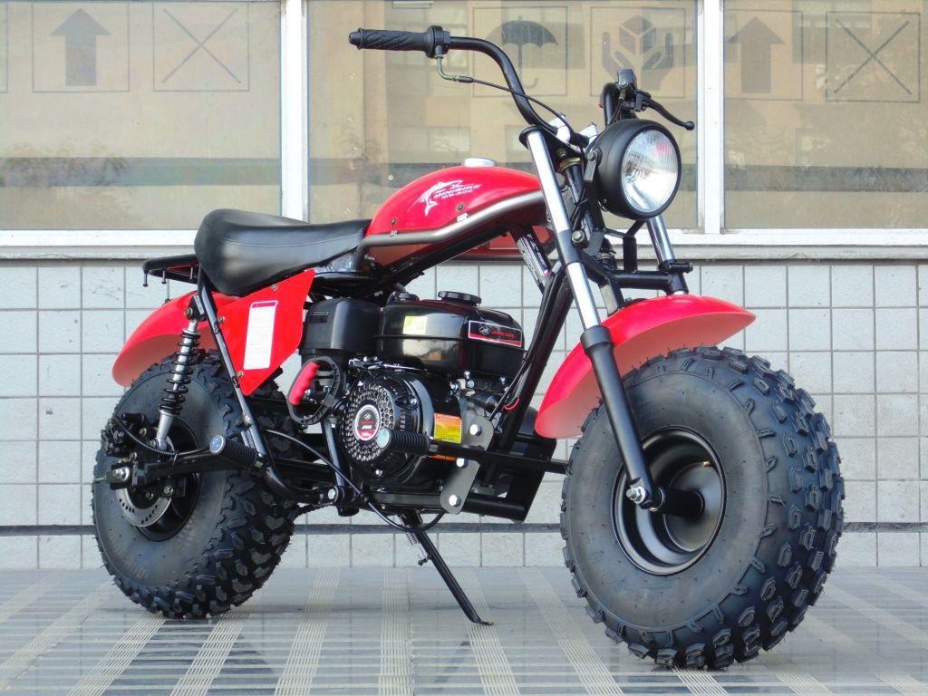 Trailmaster MINI Bike MB200 Front and  Rear Shocks, Torque Converter, Head Light.  OFF ROAD ONLY, NOT STREET LEGAL - Lee Motorsports